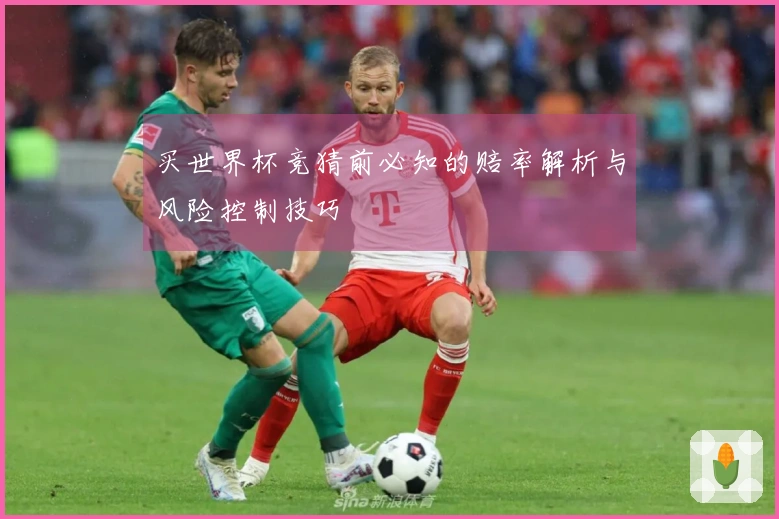 买世界杯竞猜前必知的赔率解析与风险控制技巧